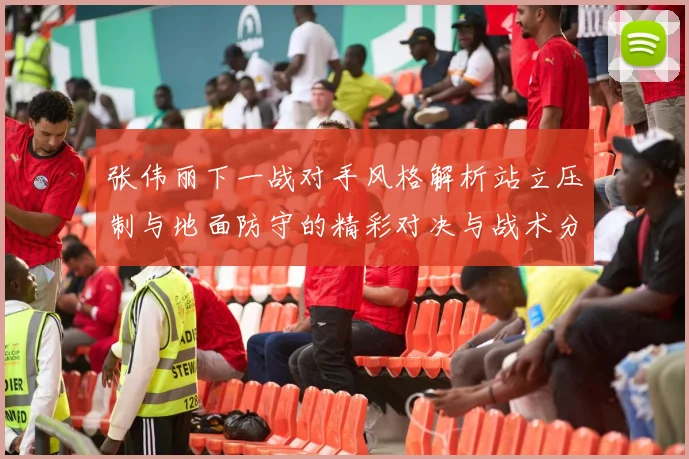 张伟丽下一战对手风格解析站立压制与地面防守的精彩对决与战术分析