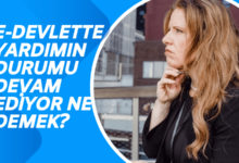 E-Devlette Yardımın Durumu Devam Ediyor ne demek
