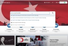 E-Devlet Okul Yardım Parası Başvurusu